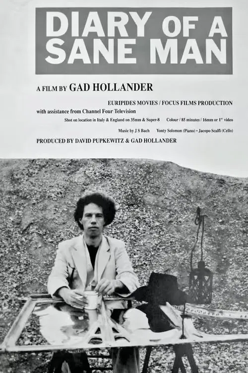 Diary of a Sane Man movie poster