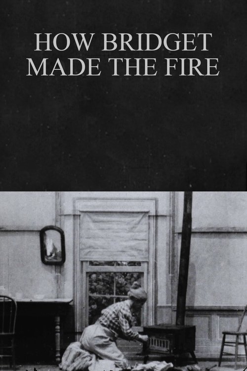 How Bridget Made the Fire movie poster