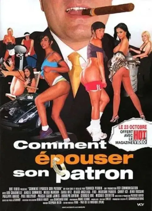 Comment épouser son patron movie poster