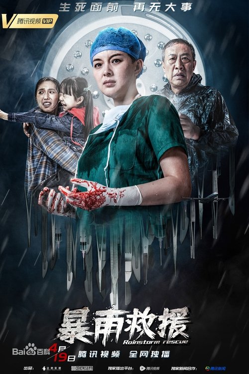 Rainstorm Rescue movie poster