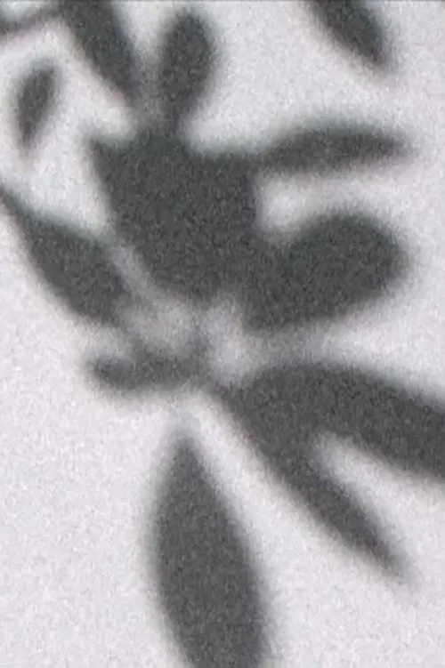 Chances de luz movie poster