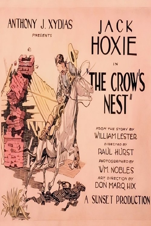 The Crow's Nest movie poster