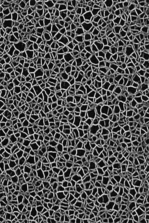 Masses Turbulentes movie poster