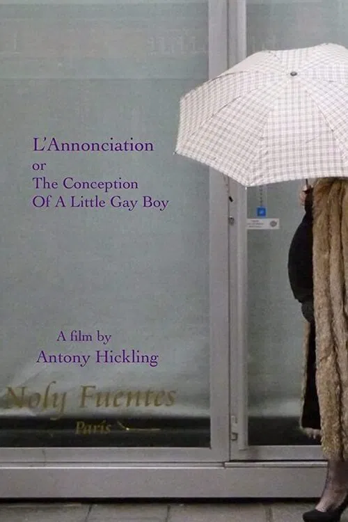 L'Annonciation or The Conception of a Little Gay Boy movie poster