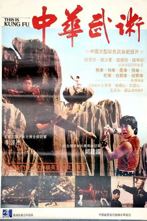 This Is Kung Fu movie poster