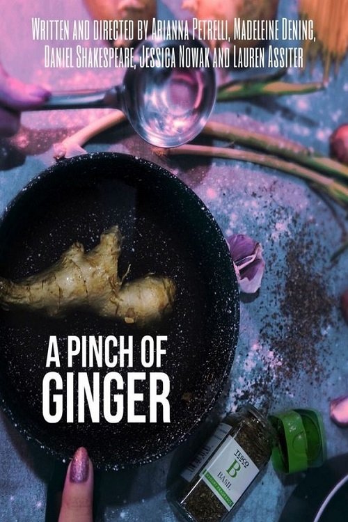 A Pinch of Ginger movie poster