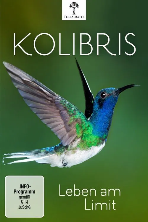 Kolibris - Leben am Limit movie poster