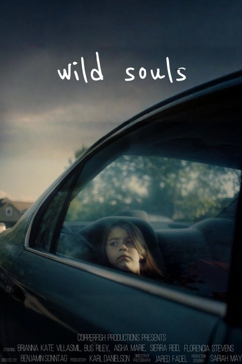 Wild Souls movie poster