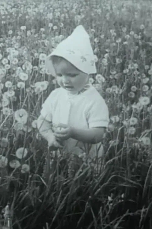 Through the Blooming Linden movie poster