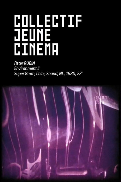 Environment II movie poster