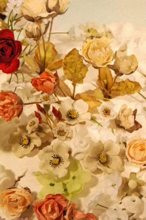 Hobo Clown movie poster