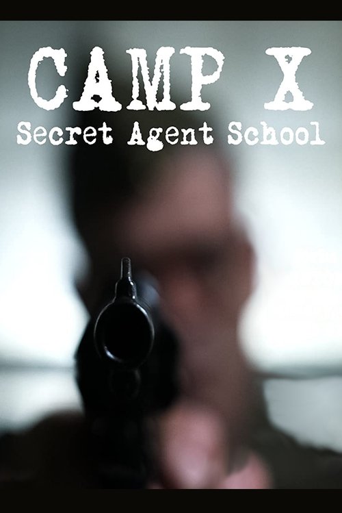 Camp X movie poster