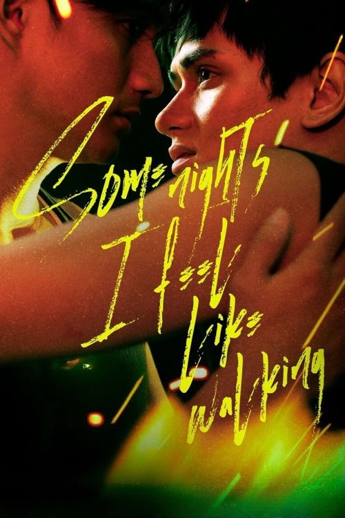 Some Nights I Feel Like Walking movie poster