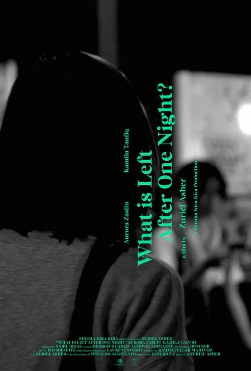 What is Left After One Night? movie poster