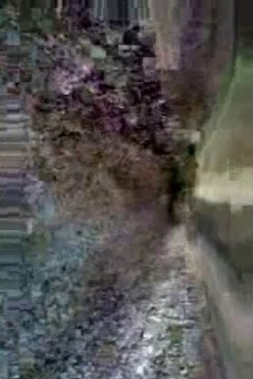 Preserving Cultural Traditions in a Period of Instability movie poster