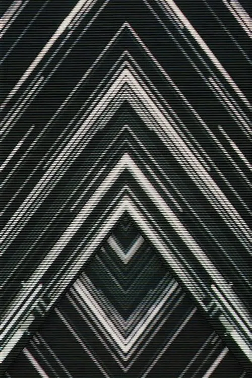 SAKANAQUARIUM 2015-2016 "NF Records launch tour" -LIVE at NIPPON BUDOKAN 2015.10.27- movie poster