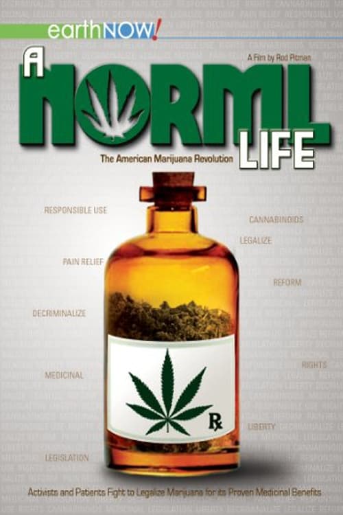 A Norml Life movie poster