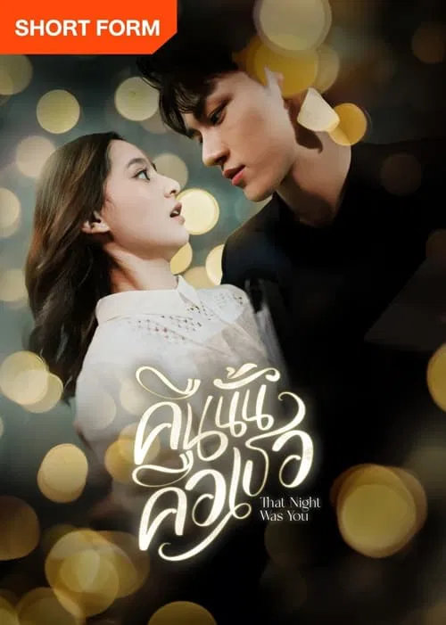 That Night Was You tv show poster