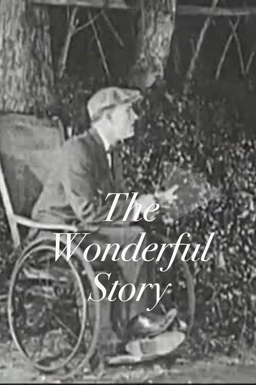 The Wonderful Story movie poster