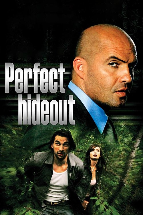Perfect Hideout movie poster