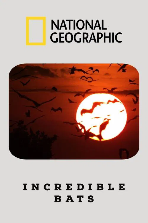 Poster do filme Morcegos Incríveis
