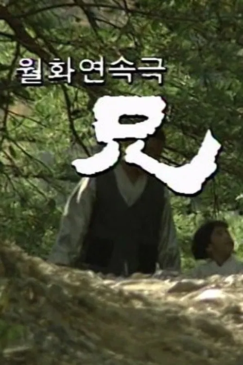 Poster da série 형