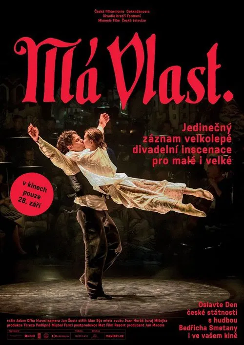 My Homeland movie poster