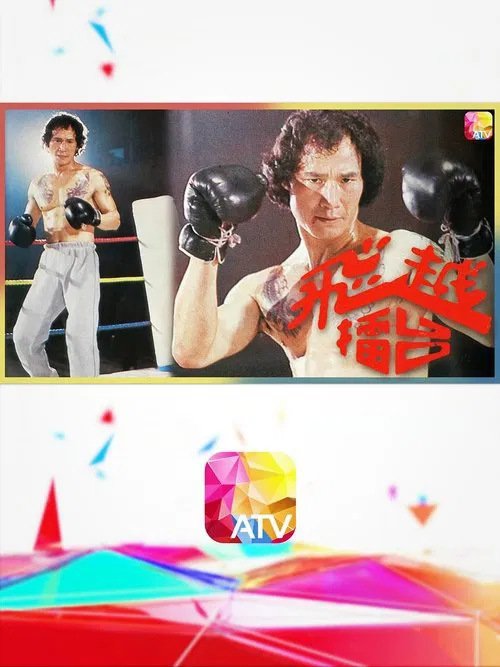 The Boxer tv show poster