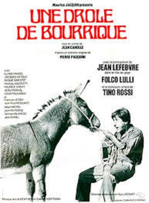 The Donkey of Zigliara movie poster