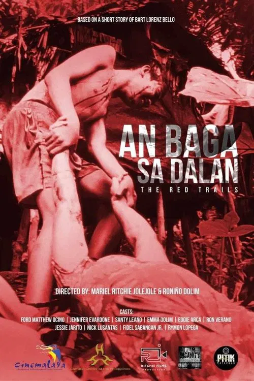 Poster do filme The Red Trails