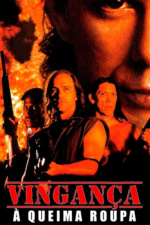 Poster do filme Vingança à Queima-Roupa