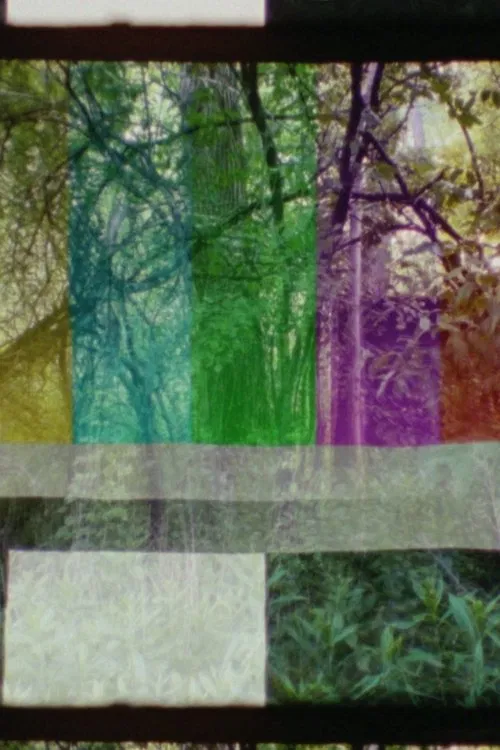SMPTE FOREST movie poster