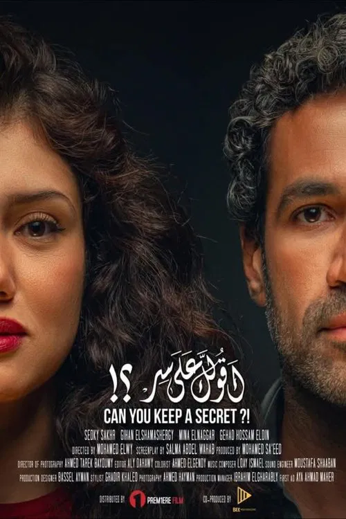 Can You Keep a Secret? movie poster