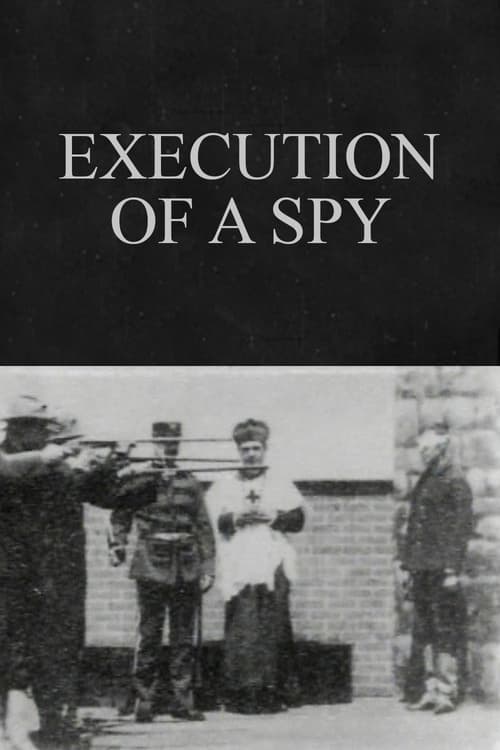 Poster do filme Execution of a Spy