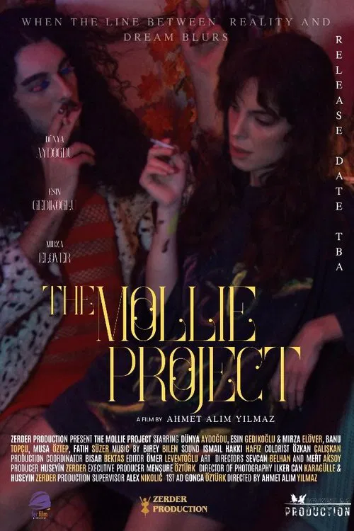 The Mollie Project movie poster