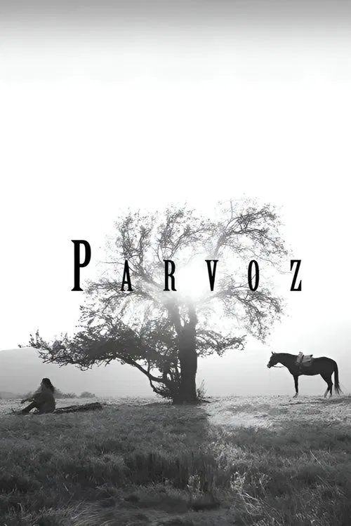 Parvoz movie poster