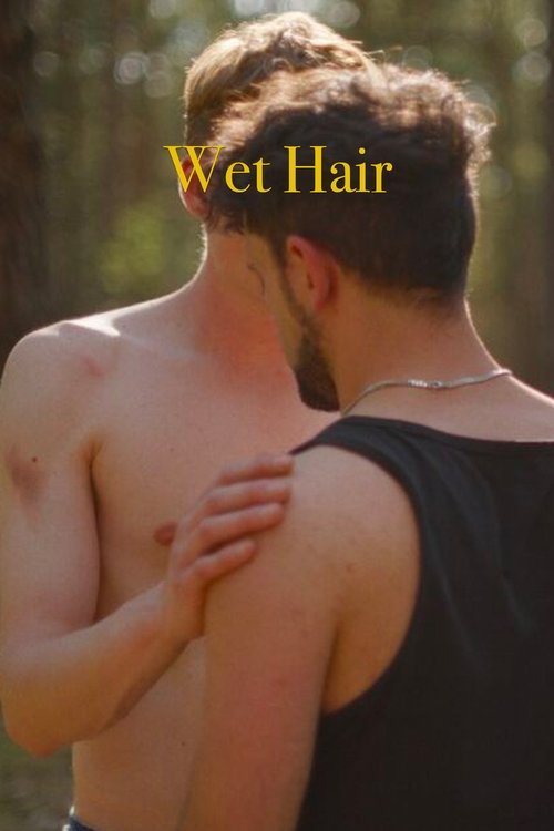 Wet Hair movie poster