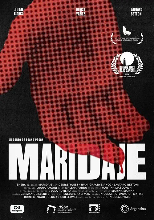 Maridaje movie poster