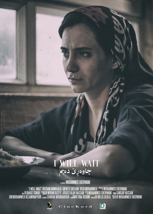 Poster do filme I Will Wait