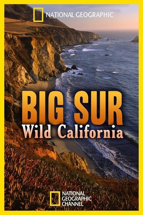 Poster do filme Big Sur: Wild California