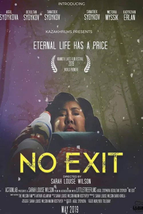 Poster do filme No Exit
