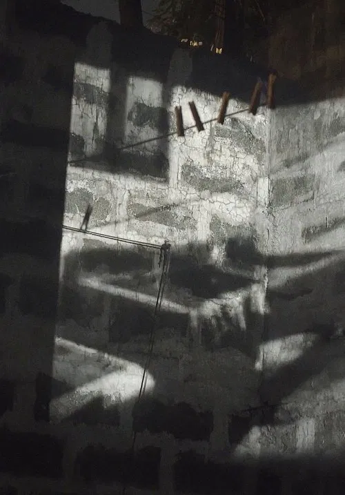 Landscape Project movie poster