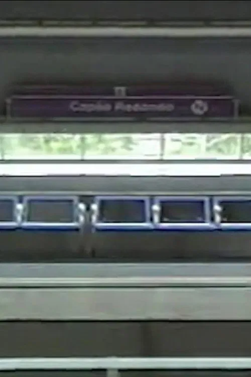 Meu Amigo Pedro Mixtape movie poster