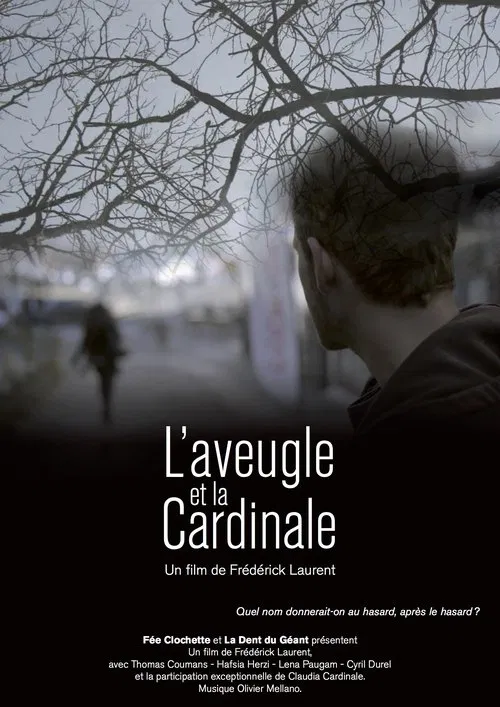 The Blind and the Cardinal movie poster