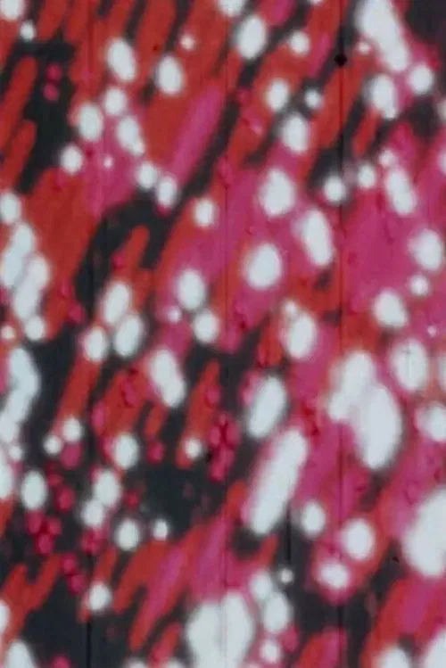 Raindance movie poster
