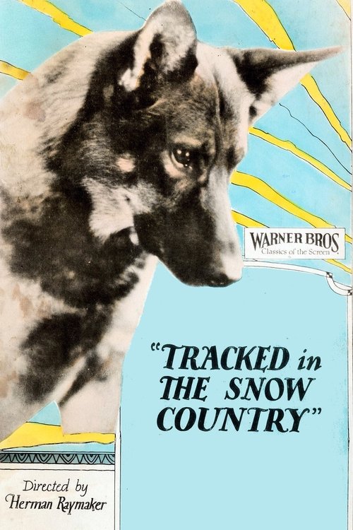 Tracked in the Snow Country movie poster