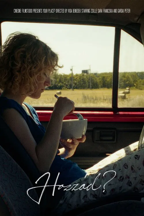 Poster do filme Your place?