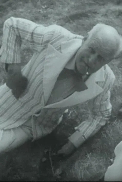 Trumpeters from Zapyškis movie poster