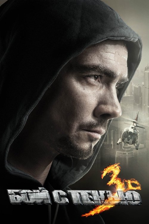 Shadow Boxing 3. The Final Round movie poster