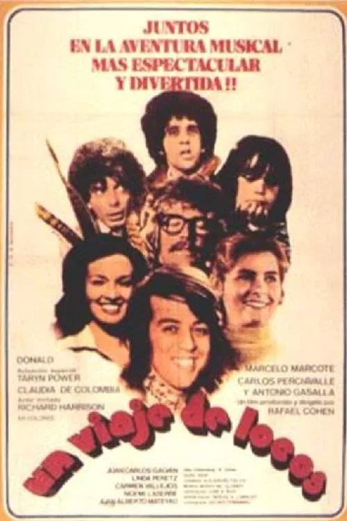 Un viaje de locos movie poster